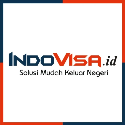 Indovisa Logo